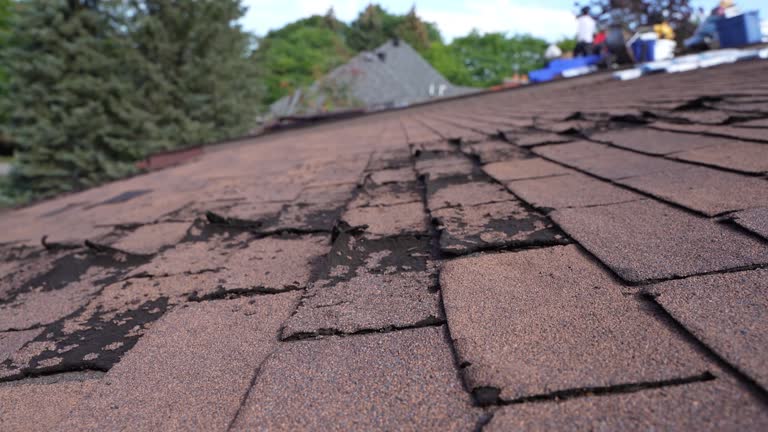 Best Roof Maintenance and Cleaning  in Fort Washakie, WY